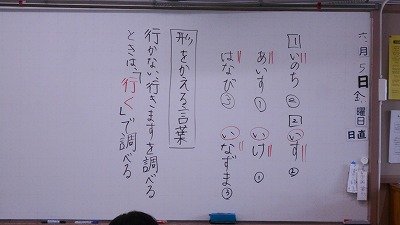 DSCN0503.jpg