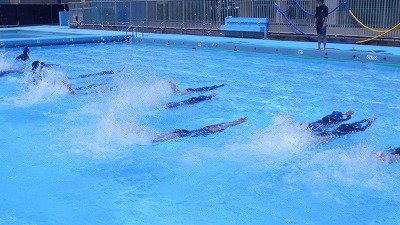 DSCN0529.jpg
