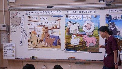 DSCN0719.jpg