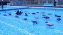 DSCN0520.jpg