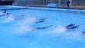 DSCN0529.jpg