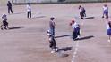 DSCN0801.jpg
