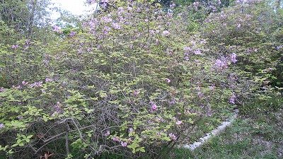 DSCN0335.jpg