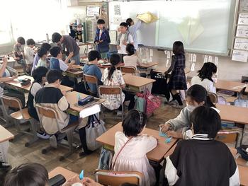 IMG_0694.jpeg