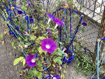 IMG_0453.jpeg