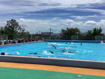 IMG_0327.jpeg