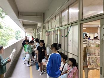 IMG_0473.jpeg