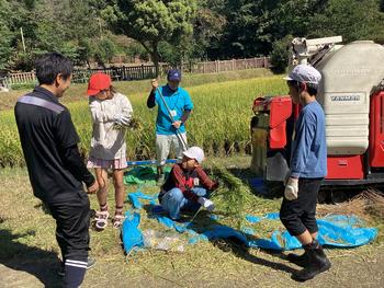 IMG_0715.jpeg