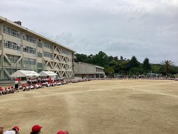 IMG_6376.jpeg