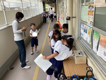 IMG_6379.jpeg