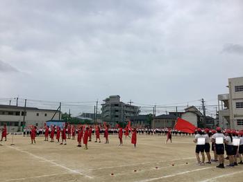 IMG_6417.jpeg