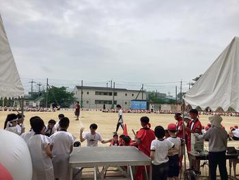 IMG_6422.jpeg