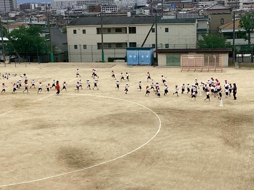 IMG_6465.jpeg