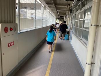 IMG_6546.jpeg