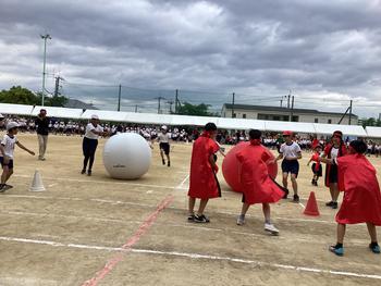 IMG_6583.jpeg