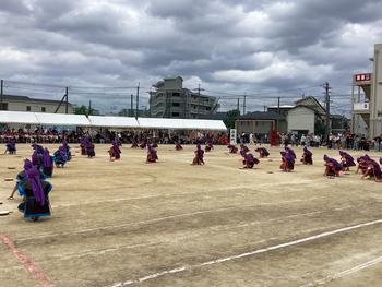 IMG_6595.jpeg