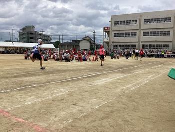 IMG_6604.jpeg