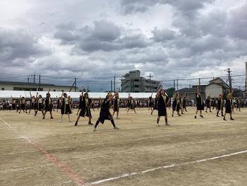 IMG_6610.jpeg