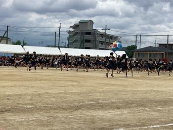 IMG_6616.jpeg