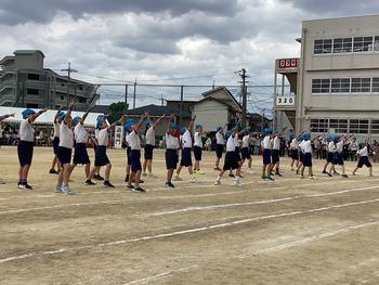 IMG_6634.jpeg