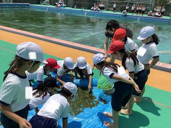 IMG_6701.jpeg