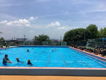 IMG_6858.jpeg