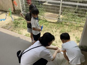 IMG_6992.jpeg