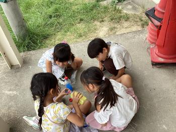 IMG_7462.jpeg