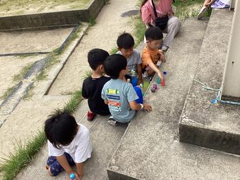 IMG_7467.jpeg