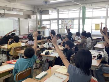 IMG_7533.jpeg