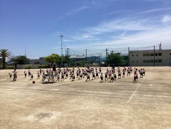 IMG_9586.jpeg