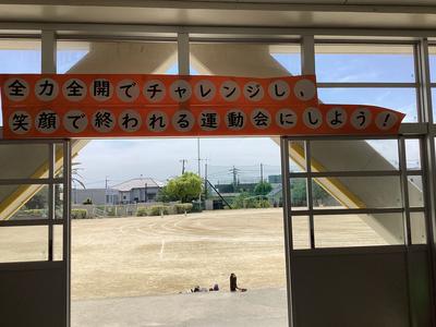 IMG_9641.jpeg