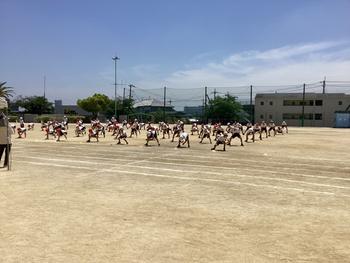 IMG_9653.jpeg
