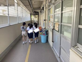 IMG_9686.jpeg