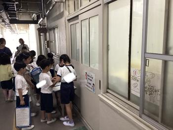 IMG_9689.jpeg