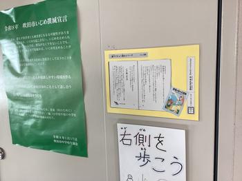 IMG_9695.jpeg
