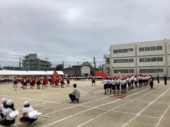 IMG_9704.jpeg
