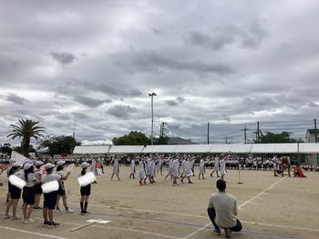 IMG_9707.jpeg