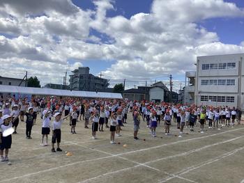 IMG_9733.jpeg