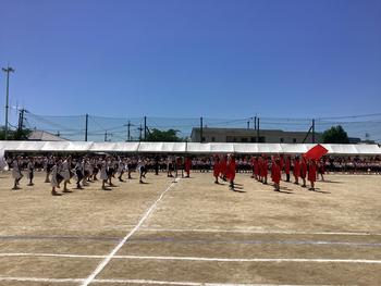 IMG_9768.jpeg