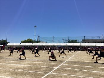 IMG_9781.jpeg