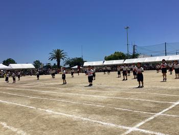 IMG_9799.jpeg