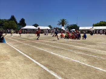 IMG_9803.jpeg