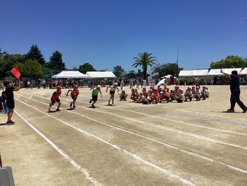 IMG_9816.jpeg