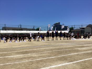 IMG_9827.jpeg