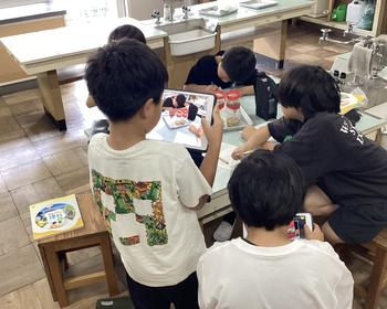 IMG_9870.jpeg