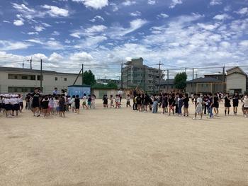 IMG_9965.jpeg