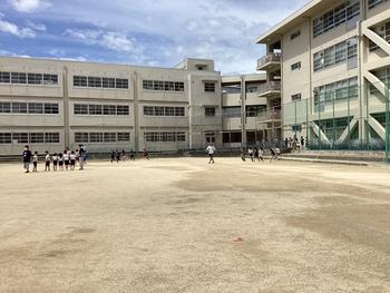 IMG_9966.jpeg