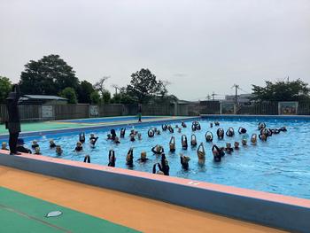 IMG_0008.jpeg
