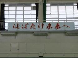 IMG_3247.jpg